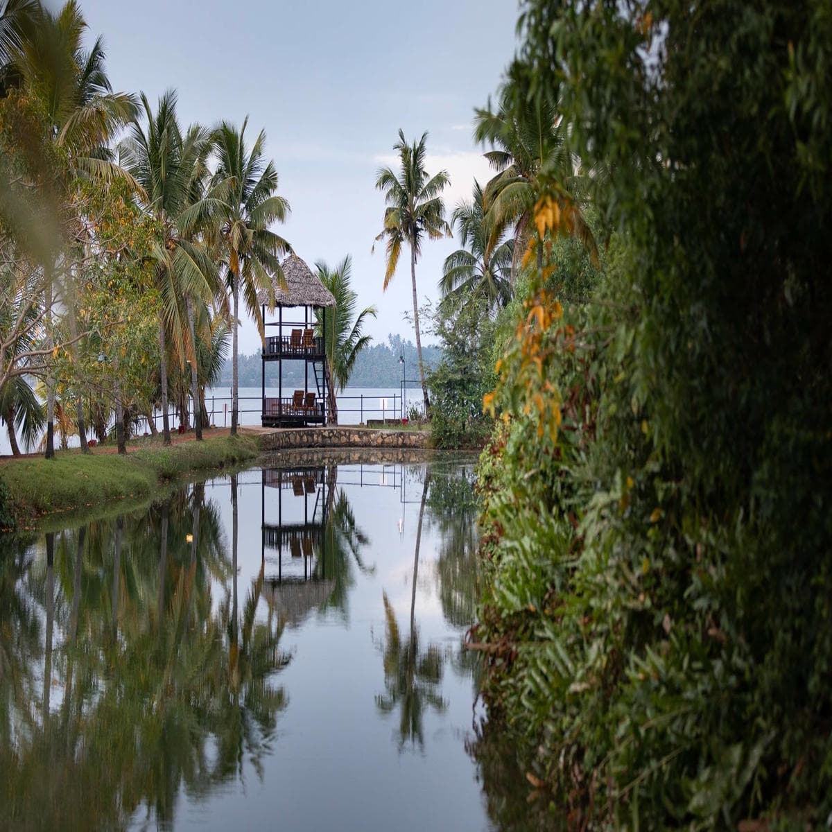 Kalari Rasayana